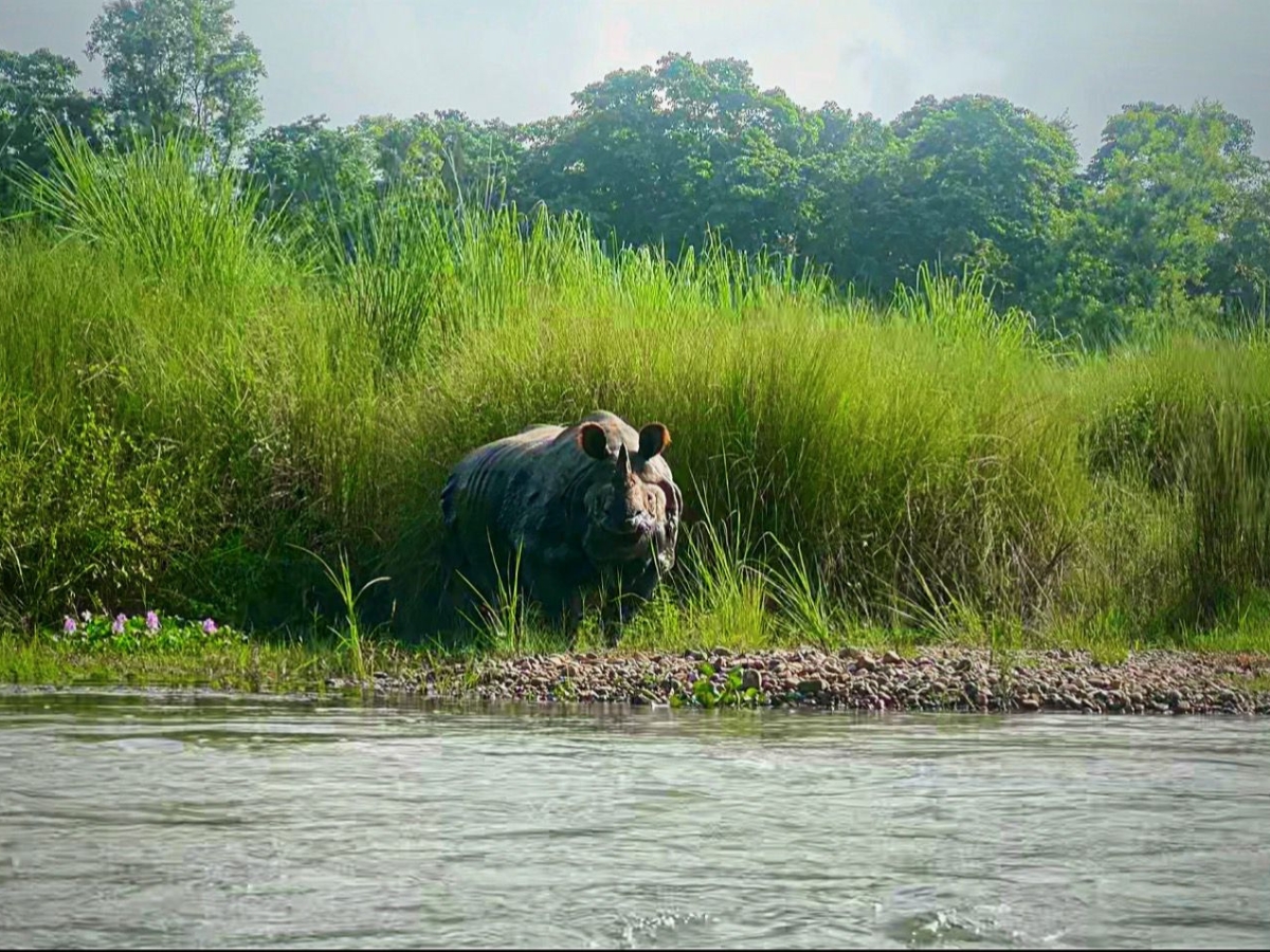 Activity in Nepal